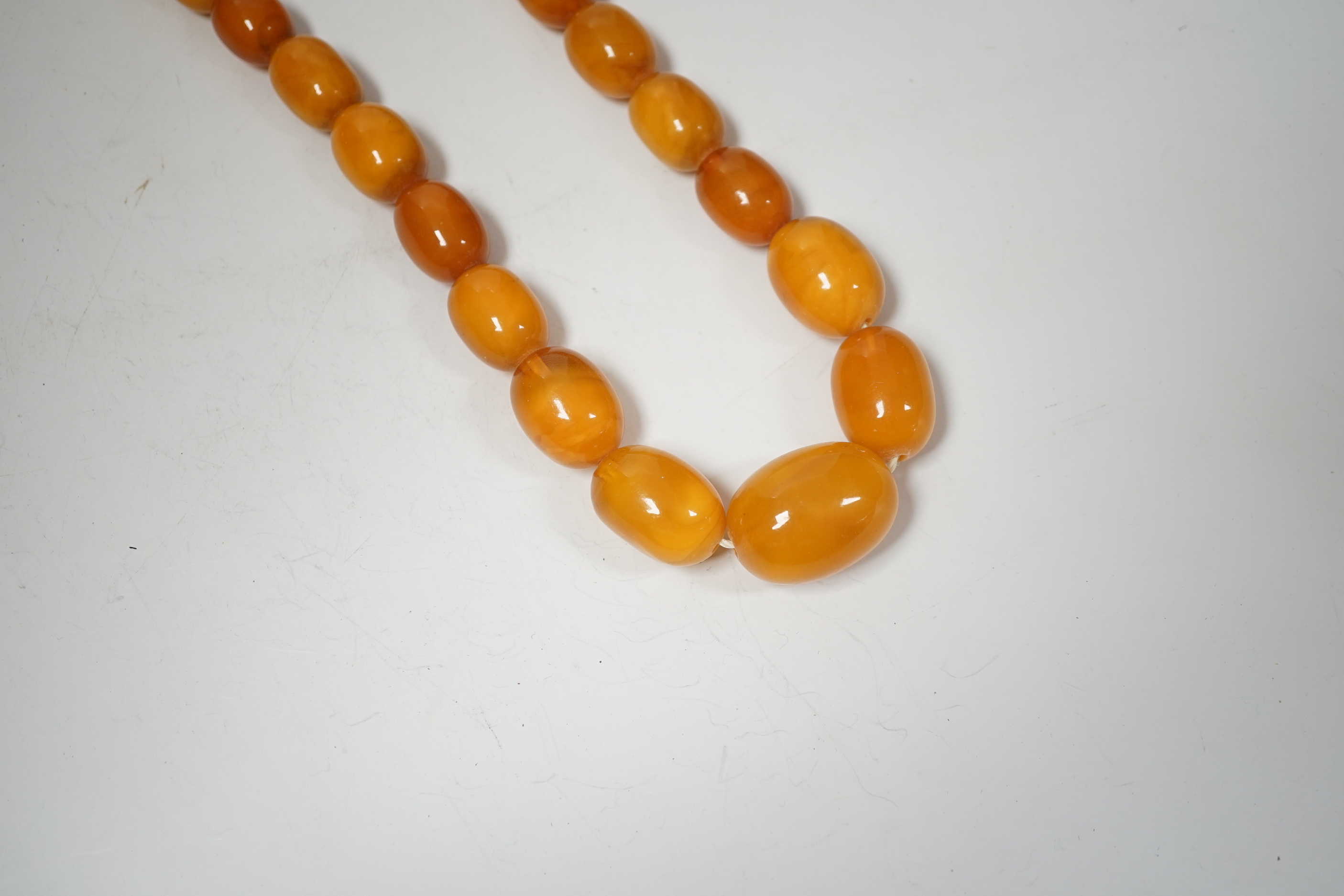 A single strand graduated oval amber bead necklace, 74cm, 83 grams.